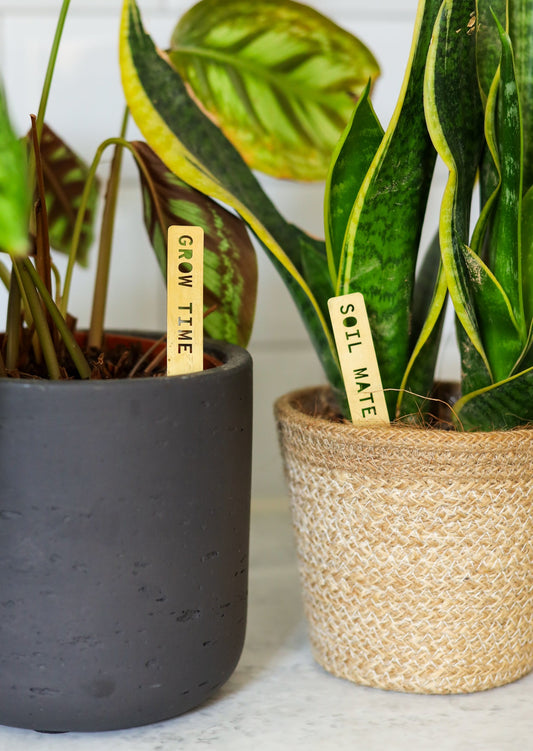 Houseplant Pun Markers - Brass