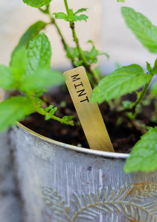 Herb Plant Markers - Brass