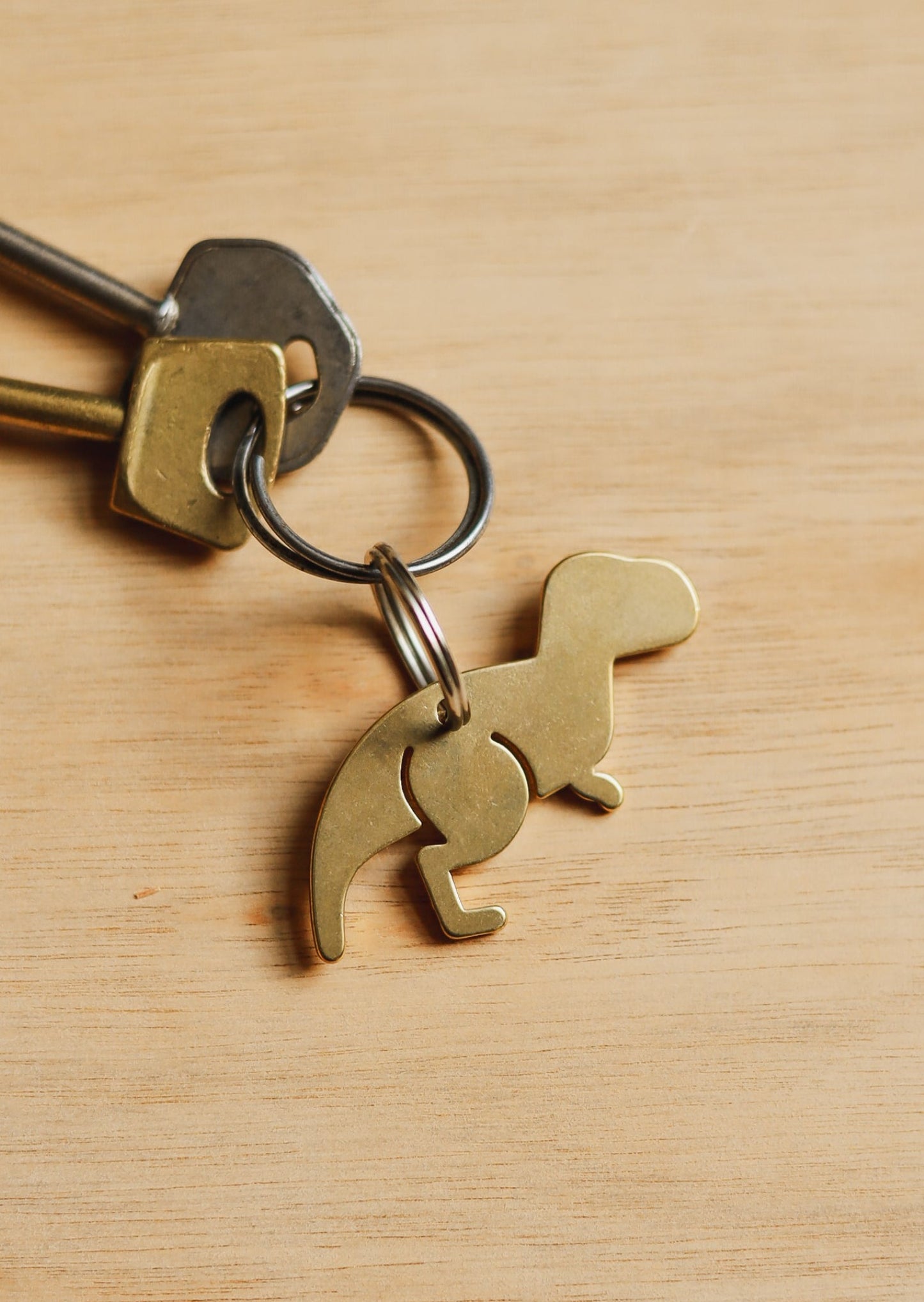Dinosaur Keyring