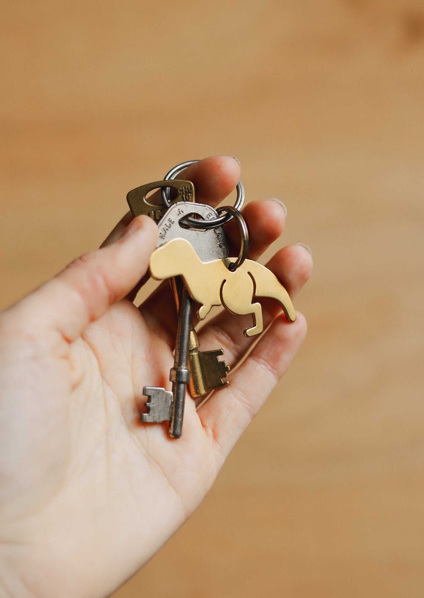 Dinosaur Keyring