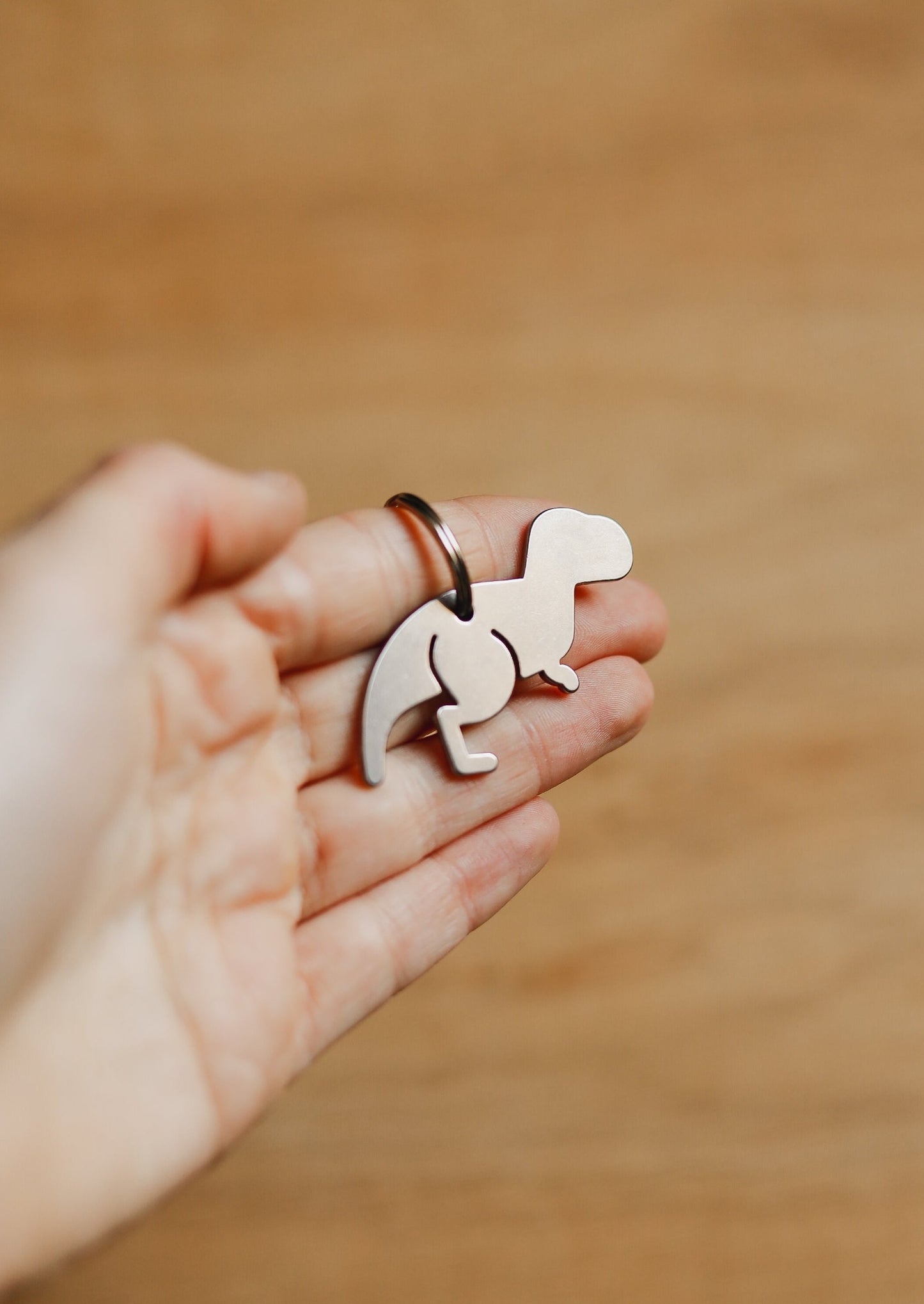 Dinosaur Keyring