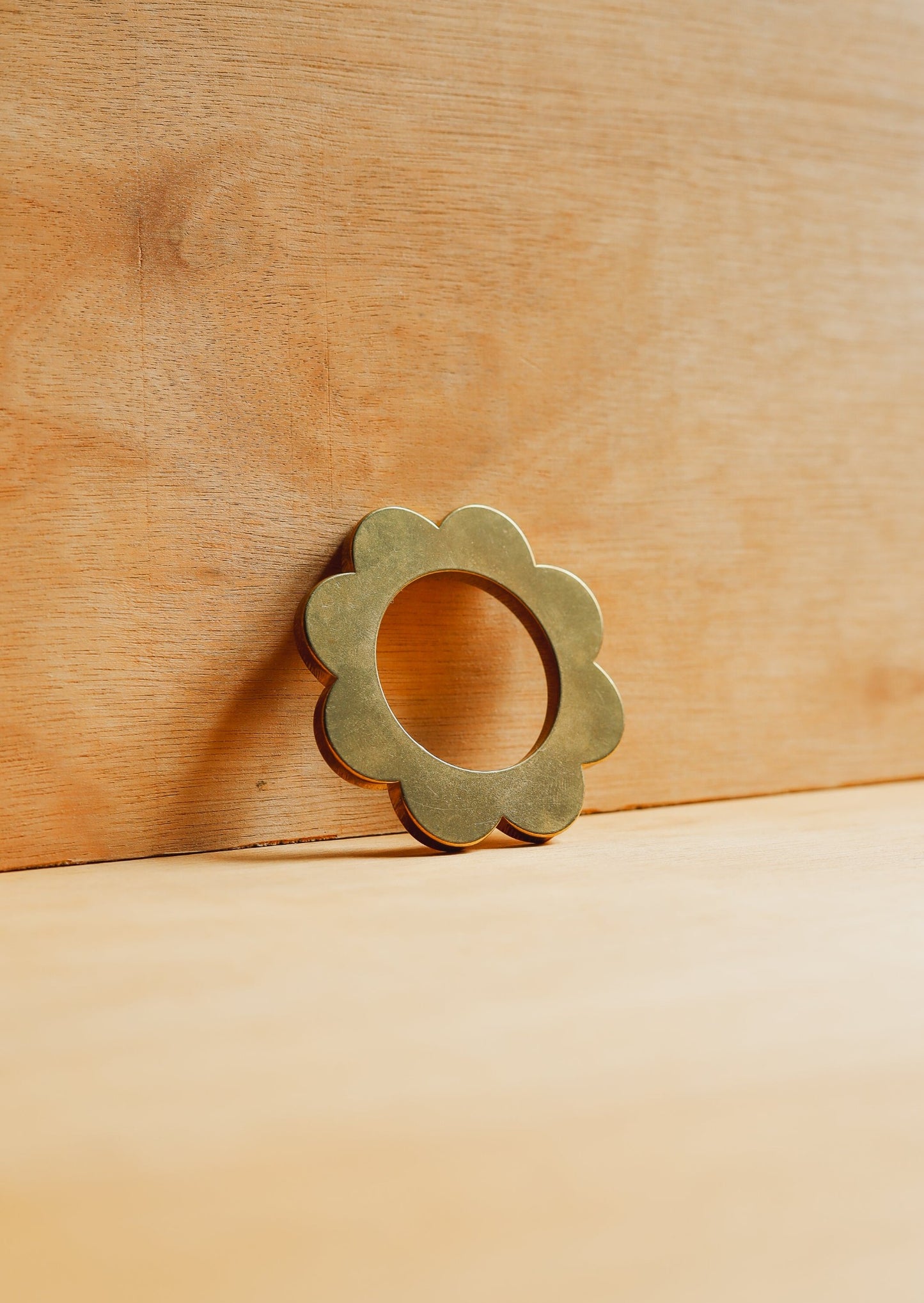Napkin Rings - Brass (Set of 2)