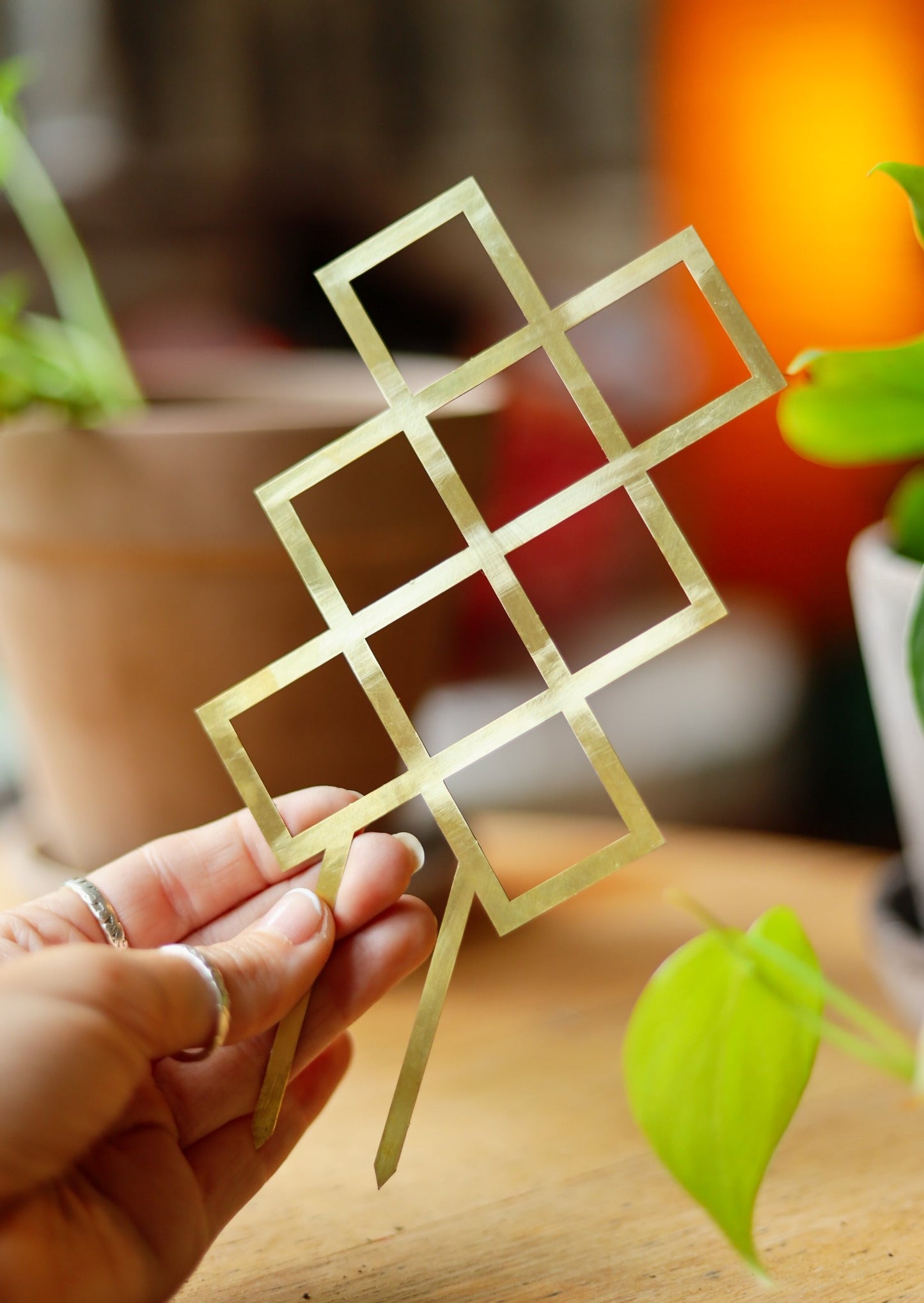 Houseplant Trellis - Brass