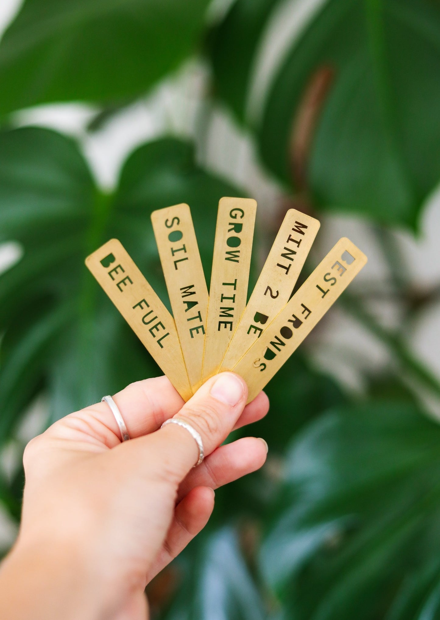 Houseplant Pun Markers - Brass