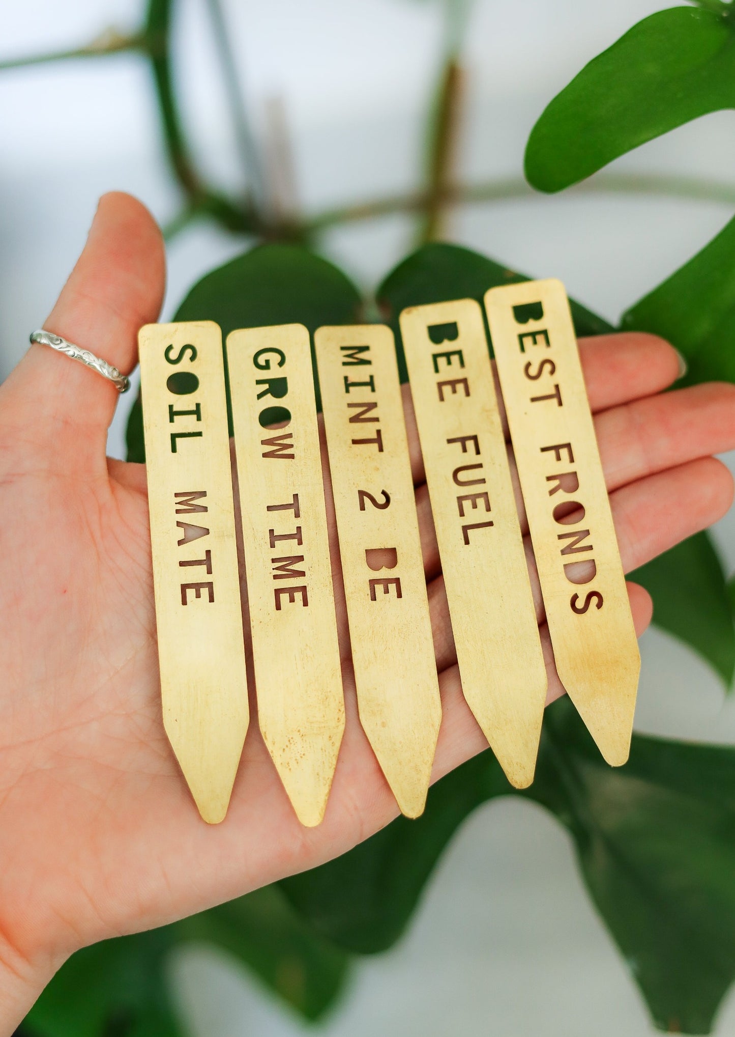 Houseplant Pun Markers - Brass