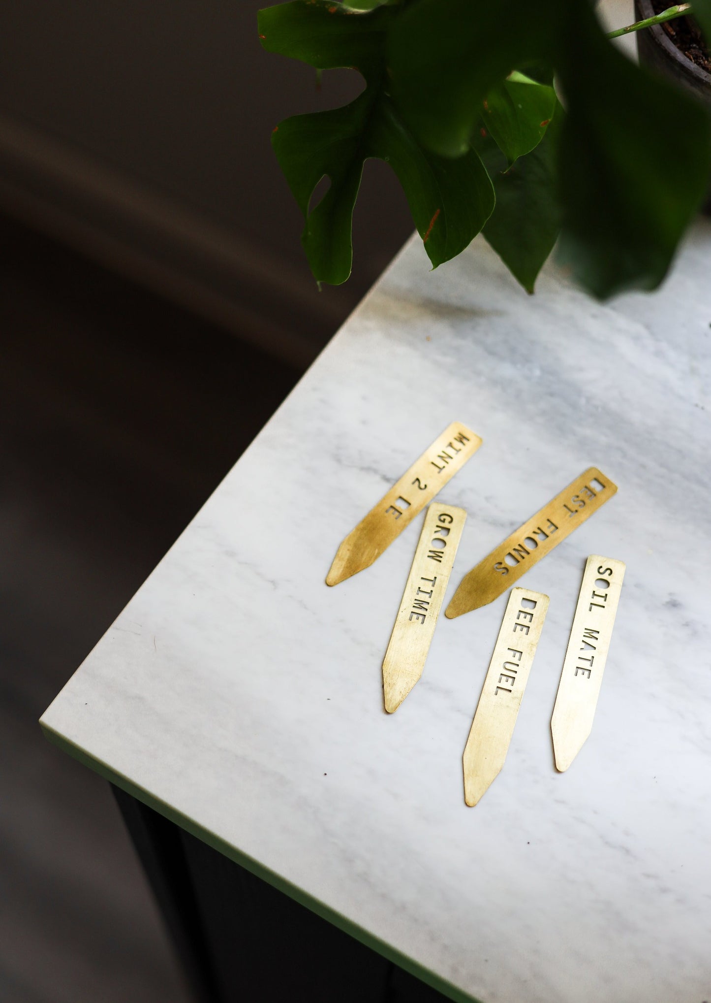 Houseplant Pun Markers - Brass