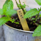 Herb Plant Markers - Brass