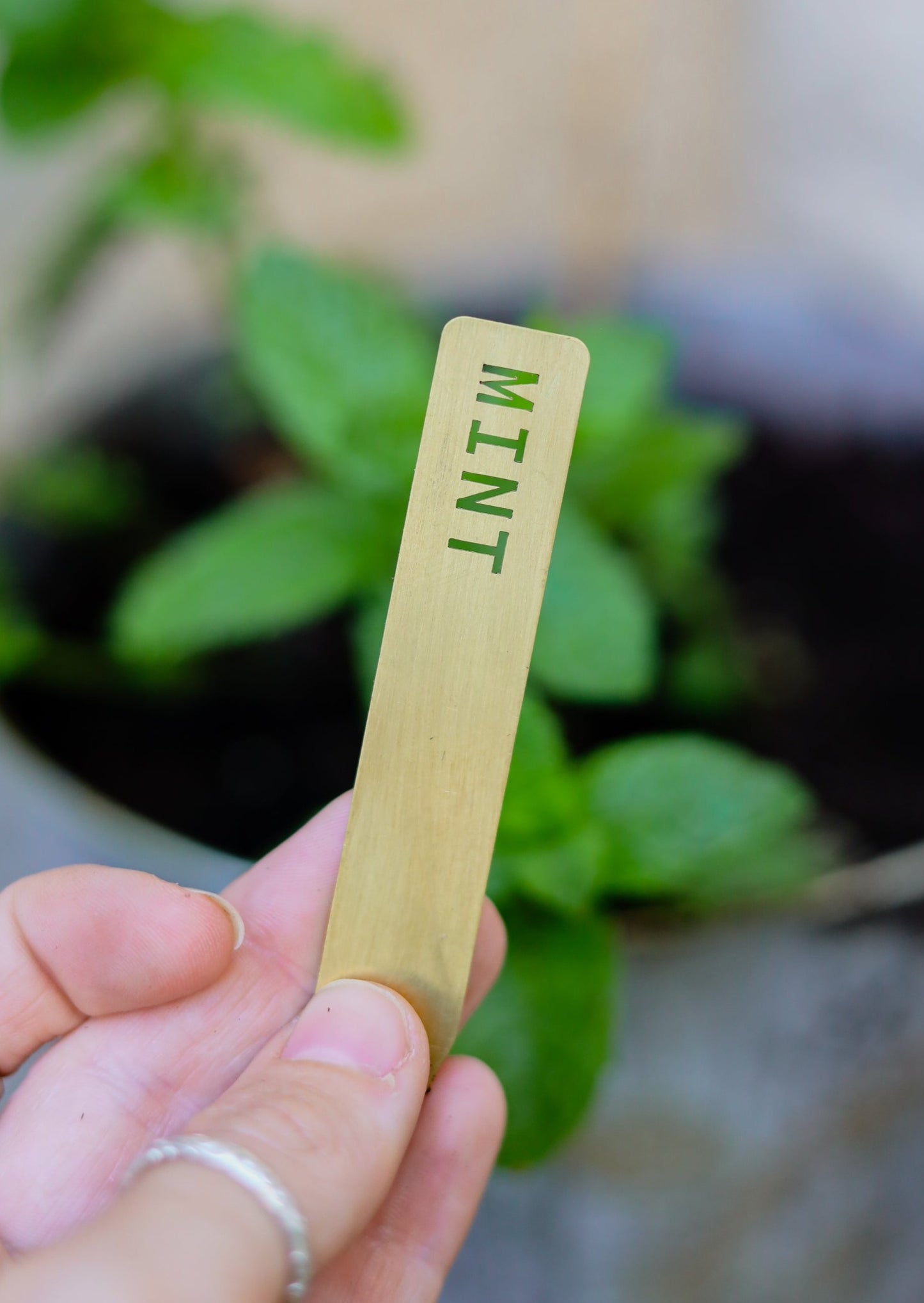 Herb Plant Markers - Brass