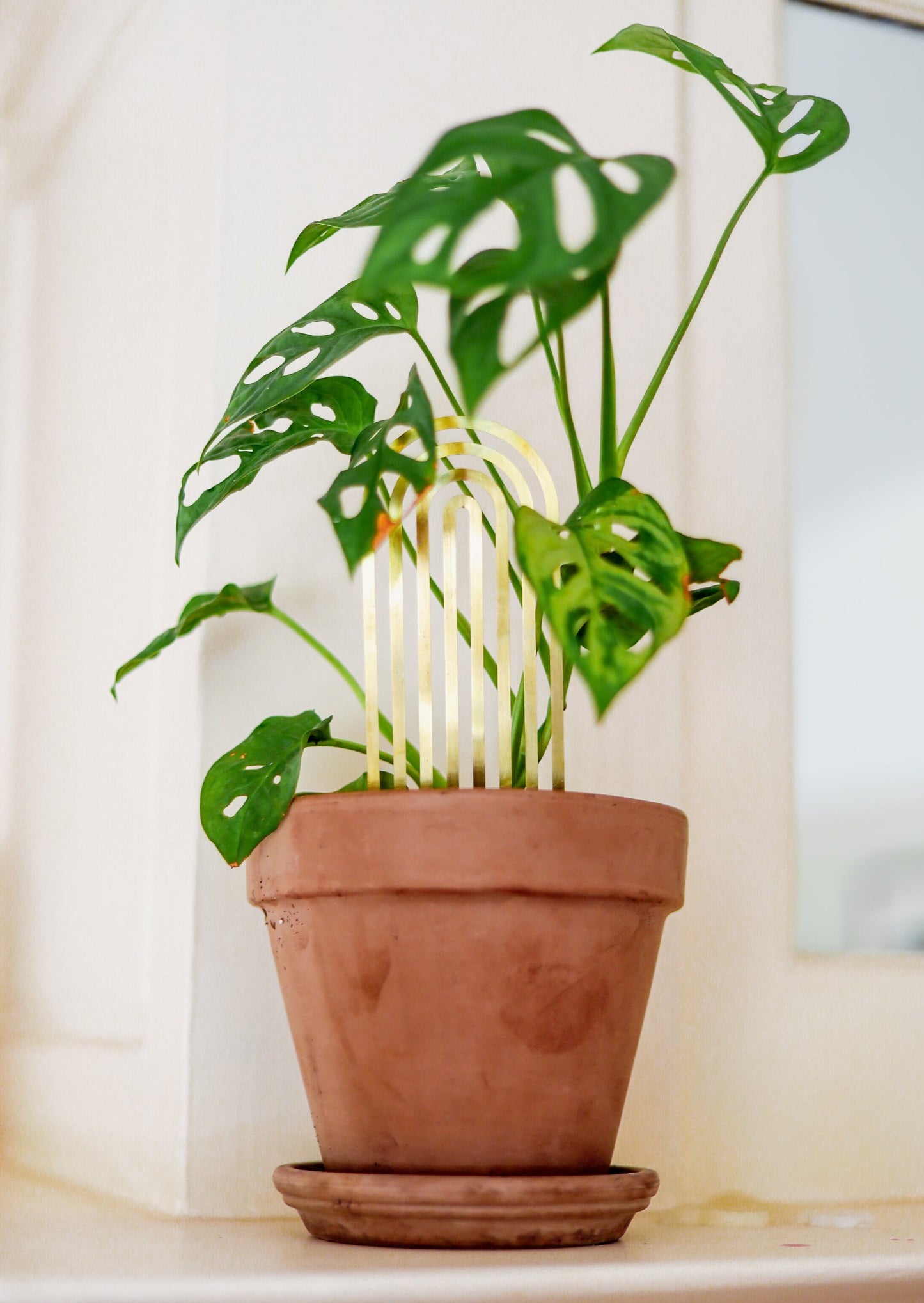 Houseplant Trellis - Brass