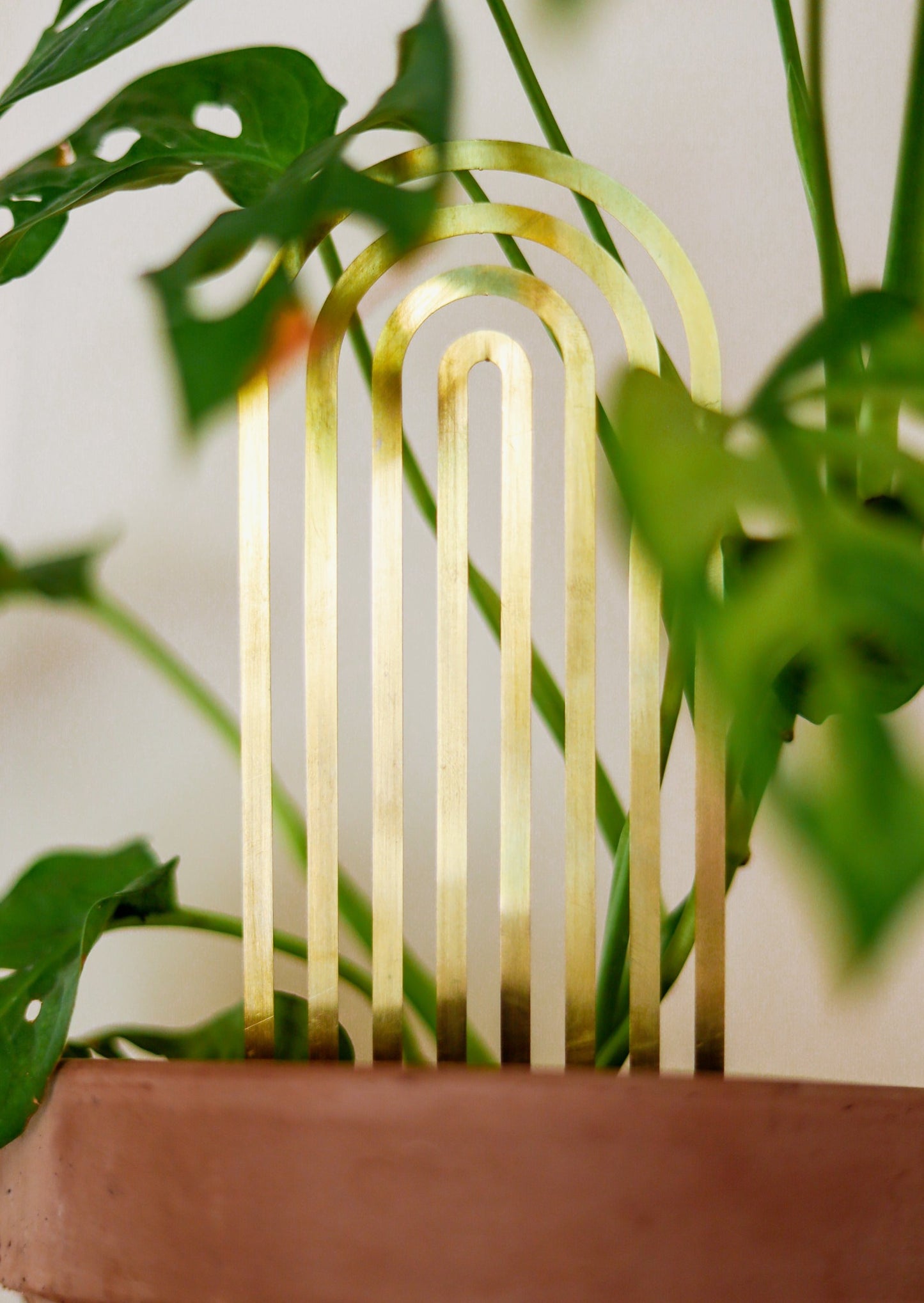 Houseplant Trellis - Brass