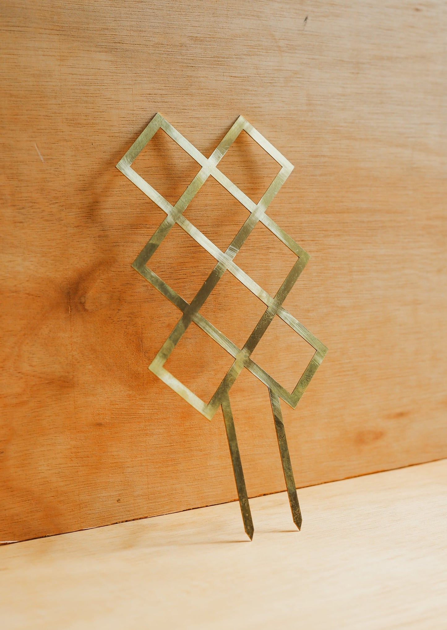 Houseplant Trellis - Brass